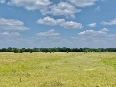 12053 S HWY 34, Scurry TX 75158 - Photo 5