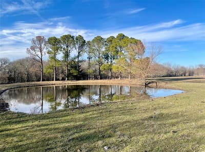 7984 County road 2582, Royse City TX 75189 - Photo 3
