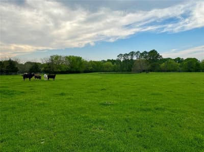 7984 County road 2582, Royse City TX 75189