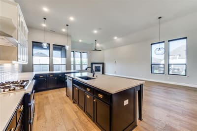 905 Longbranch Way, Aubrey TX 76227 - Photo 4