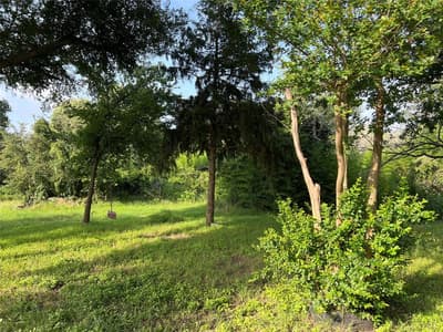 3883 CR 300, Dublin TX 76446 - Photo 3