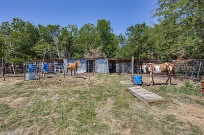 2875 County Road 655, Farmersville TX 75442 - Photo 3