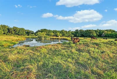 2340 Wright Road, Sherman TX 75092 - Photo 3