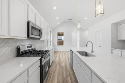3010 Templegate Court, Crandall TX 75114 - Photo 3