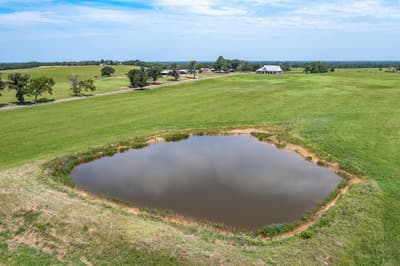 9208 FM 17 89 Acres, Grand Saline TX 75140 - Photo 2