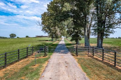 9208 FM 17 89 Acres, Grand Saline TX 75140