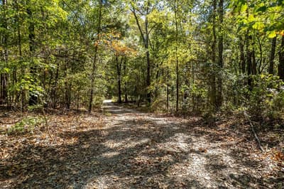 2026 CR 3234, Quitman TX 75783 - Photo 5