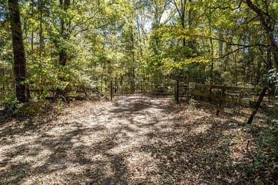 2026 CR 3234, Quitman TX 75783 - Photo 4
