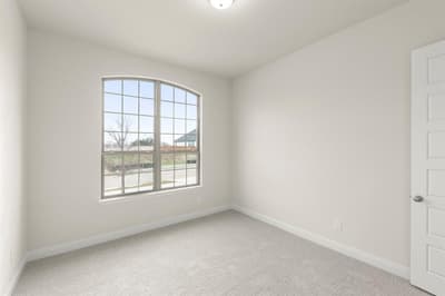 240 S Bee Balm Road, McKinney TX 75071 - Photo 4