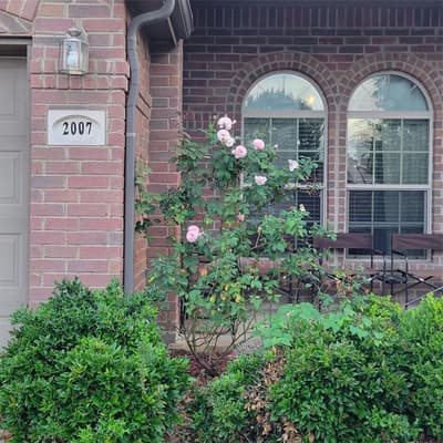 2007 Eagle Lake Drive, Forney TX 75126 - Photo 3