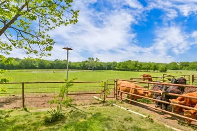 5167 Rock Hill Road, Aubrey TX 76227 - Photo 5