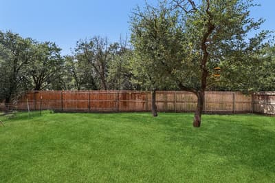 1203 Pala Dura Court, Granbury TX 76048 - Photo 5
