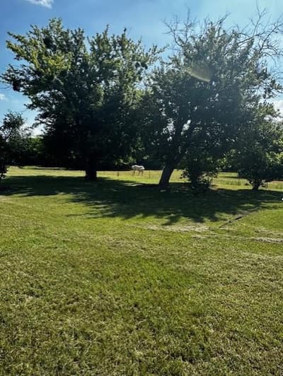 6294 Dugan Chapel Road, Bells TX 75414 - Photo 2