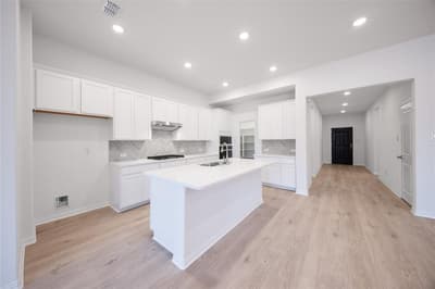 3921 Jasper Lane, Celina TX 75009 - Photo 4