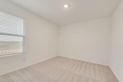 112 Cedar Sage Lane, Balch Springs TX 75181 - Photo 4