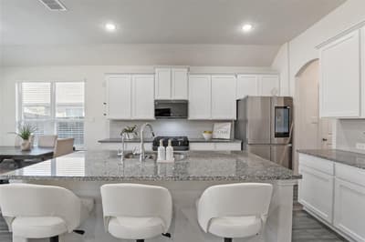 1413 Lake Grove Drive, Little Elm TX 75068 - Photo 5