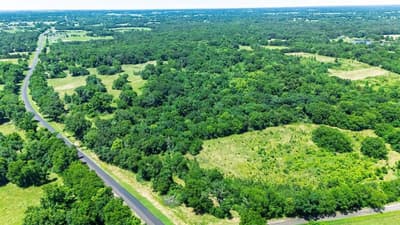 11591-2 Farm Road 269 S, Pickton TX 75471 - Photo 2