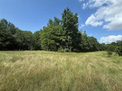 11591-2 Farm Road 269 S, Pickton TX 75471 - Photo 3