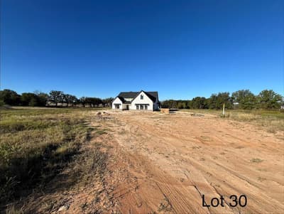 320 Jonny Boy Way, Springtown TX 76082 - Photo 4