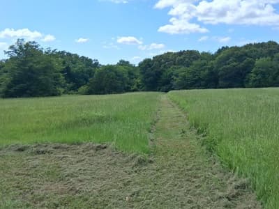 1156 RS County Road 1140, Emory TX 75440 - Photo 5