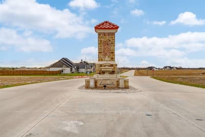 136 Lana Garden Way, Waxahachie TX 75165 - Photo 3