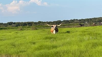4565 County Road 140, Stephenville TX 76401