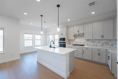 2212 Valencia Drive, Little Elm TX 75068 - Photo 3