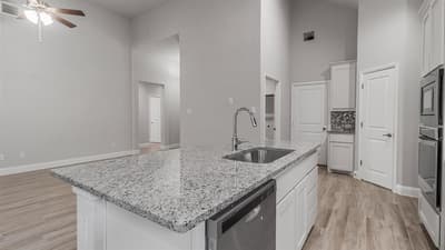 11229 TREEHOUSE Trail, Justin TX 76247 - Photo 4