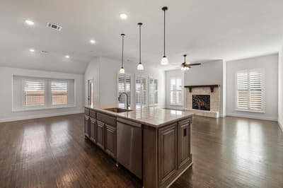 137 Fireberry Drive, Glenn Heights TX 75154 - Photo 3