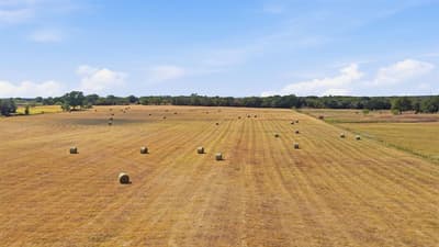 3601 Springfield Road, Springtown TX 76082 - Photo 3