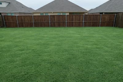409 Spur Ridge, Princeton TX 75407 - Photo 5