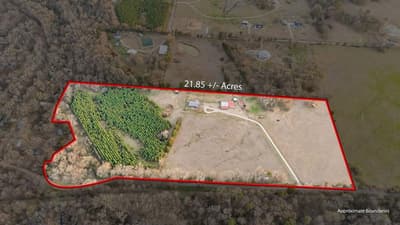 473 County Road Se 3370, Winnsboro TX 75494 - Photo 2
