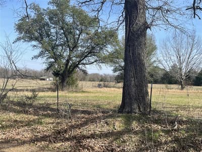 1226 Vz County Road, Grand Saline TX 75140 - Photo 3