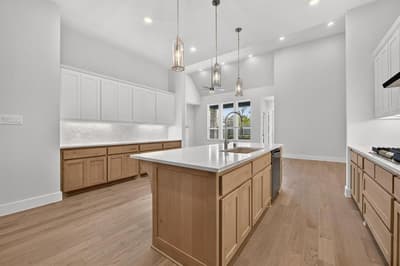 1619 Wild Berry Way, Northlake TX 76247 - Photo 4