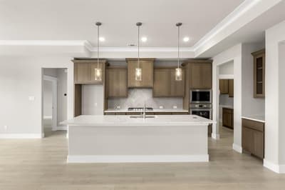 1908 Vittoria Lane, Little Elm TX 75068 - Photo 4
