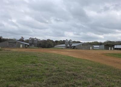 1886 Opossum Rd, Pittsburg TX 75686