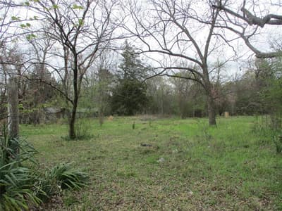 522 E QUITMAN Street, Emory TX 75440 - Photo 3