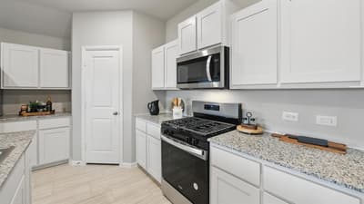 16572 HUDSON PRAIRIE Way, Fort Worth TX 76247 - Photo 4