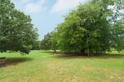 1196 County Road 260, Gainesville TX 76240 - Photo 5