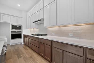 11725 Treehouse Trail, Justin TX 76247 - Photo 4