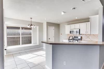 613 Prairie Gulch Drive, Fort Worth TX 76140 - Photo 4