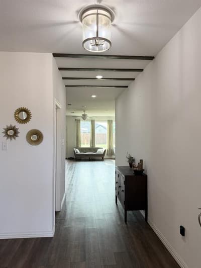 2603 Lemon Mint Lane, Melissa TX 75454 - Photo 4
