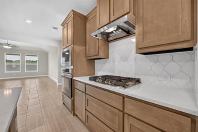 11224 WINGED ELM Way, Justin TX 76247 - Photo 5