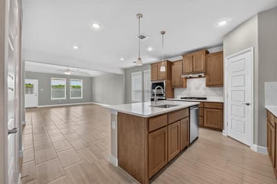 11224 WINGED ELM Way, Justin TX 76247 - Photo 4