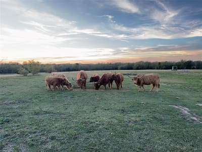 4081 Fm 2736, Campbell TX 75422