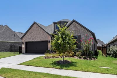 1733 Hillside Stroll Drive, Lavon TX 75166 - Photo 2