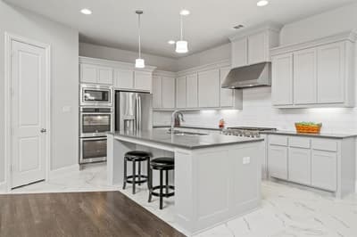 725 Royal Minister Boulevard, Lewisville TX 75056 - Photo 3