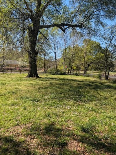 3395 Bonham Street, Paris TX 75460 - Photo 2