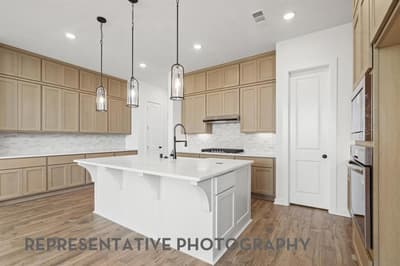 1325 Periwinkle Drive, Celina TX 75009 - Photo 2