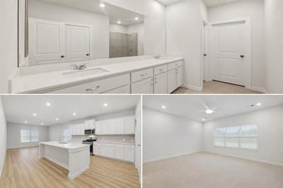 785 Vineyard Way, Forney TX 75126 - Photo 4